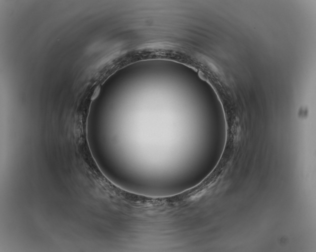 X0000094431062200711081220