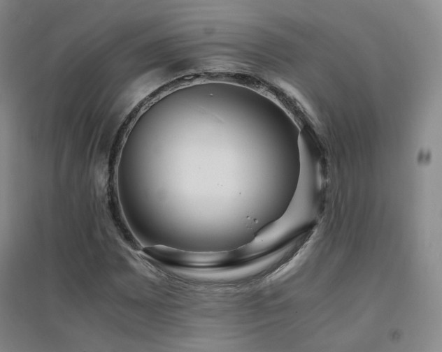 X0000094431065200711081220