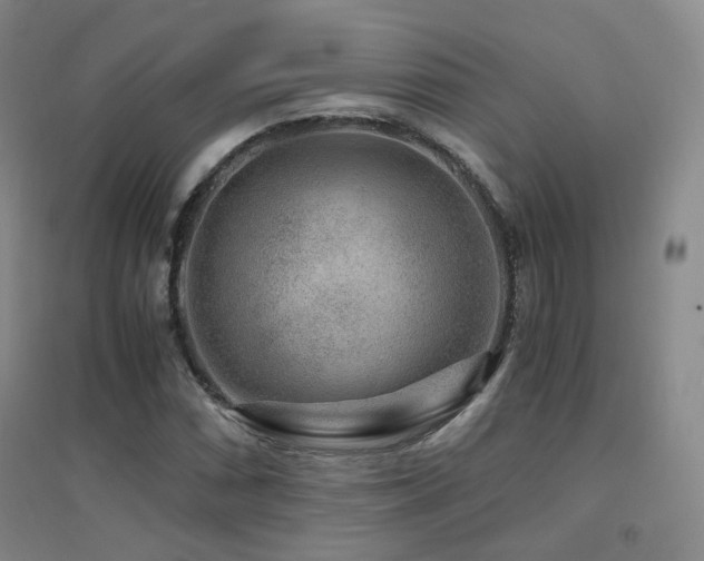X0000094431066200711081220