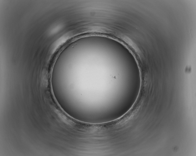 X0000094431067200711081220