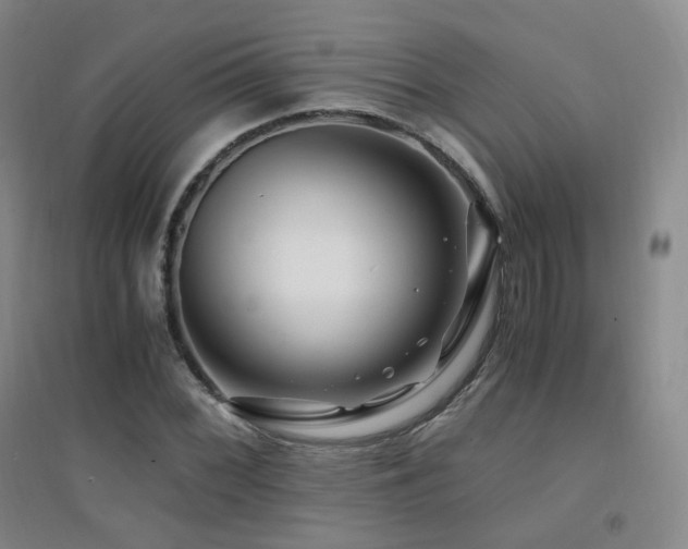 X0000094431068200711081220