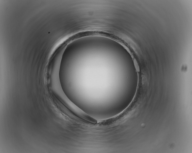 X0000094431069200711081220