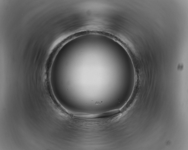 X0000094431070200711081220