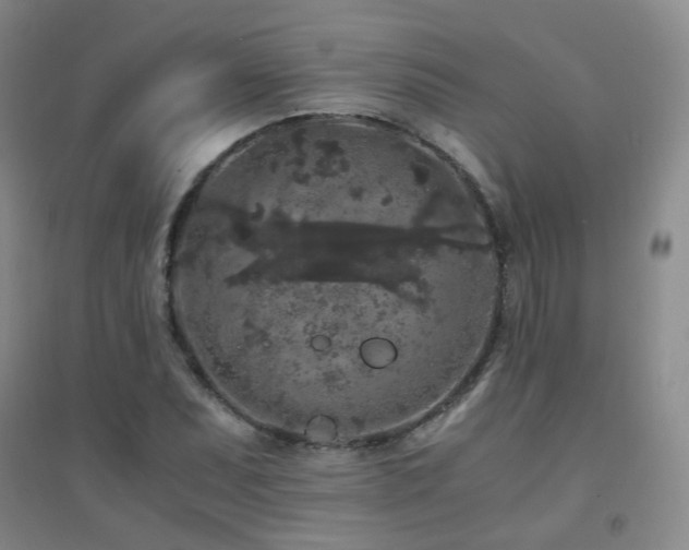 X0000094431071200711081220
