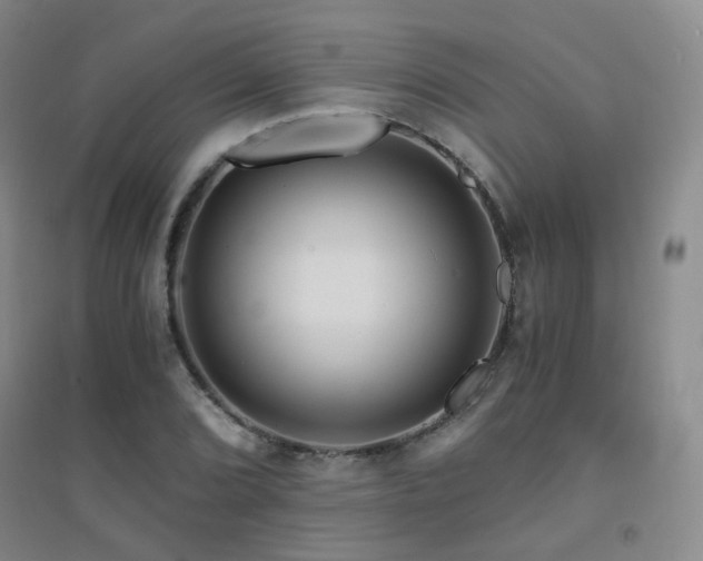 X0000094431072200711081220