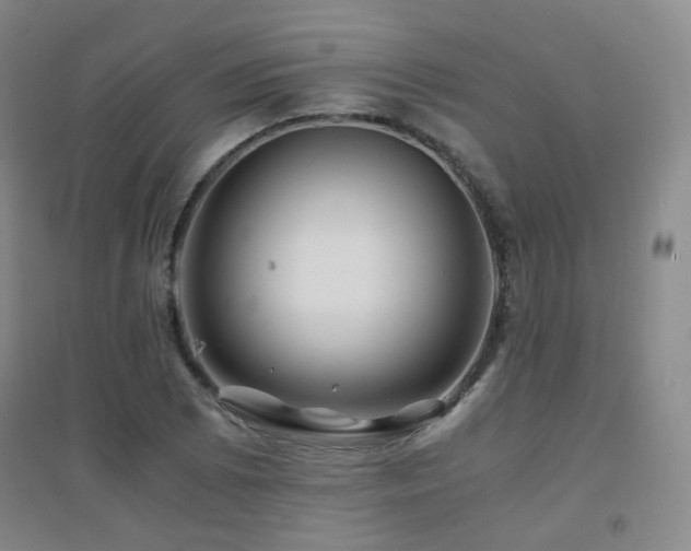 X0000094431073200711081220
