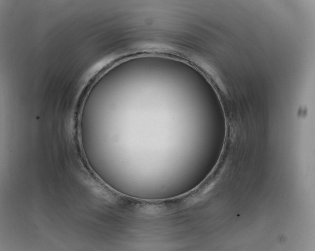 X0000094431074200711081220