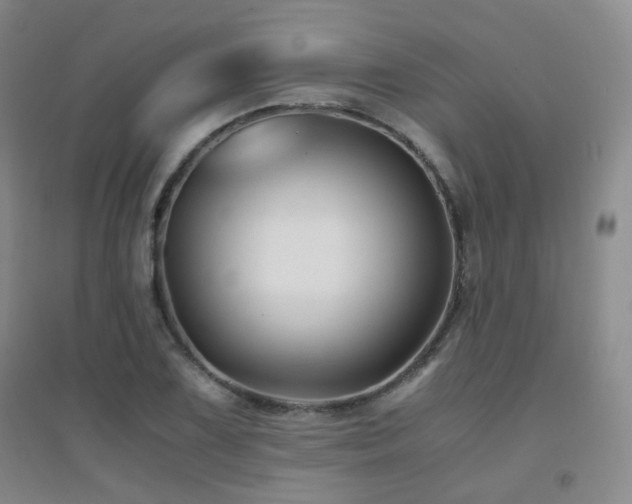 X0000094431075200711081220