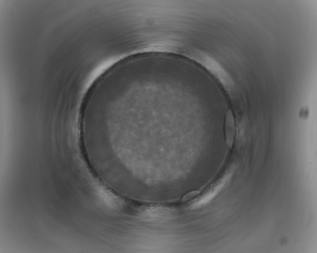 X0000094431077200711081220