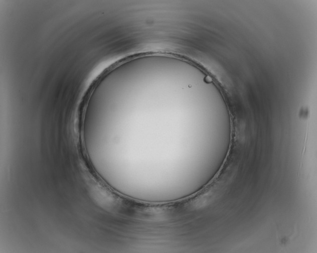 X0000094431078200711081220