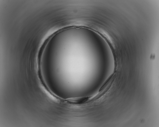 X0000094431080200711081220