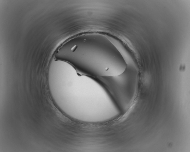 X0000094431081200711081220