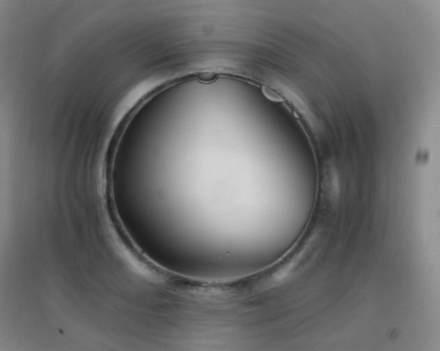 X0000094431082200711081220