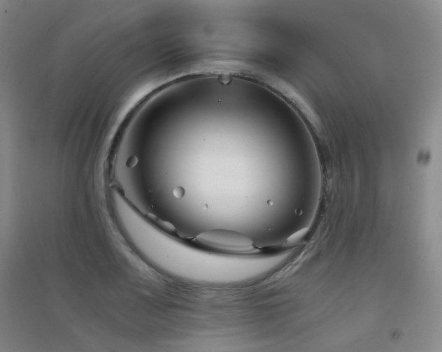 X0000094431083200711081220