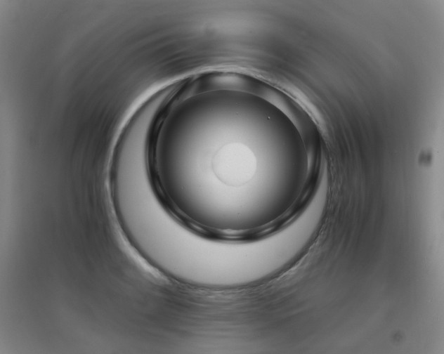 X0000094431084200711081220
