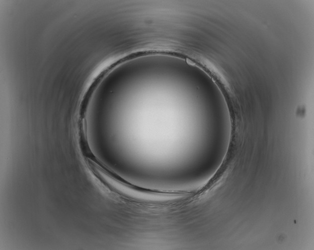 X0000094431085200711081220