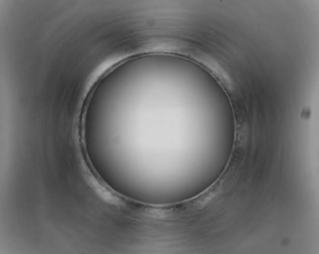 X0000094431086200711081220