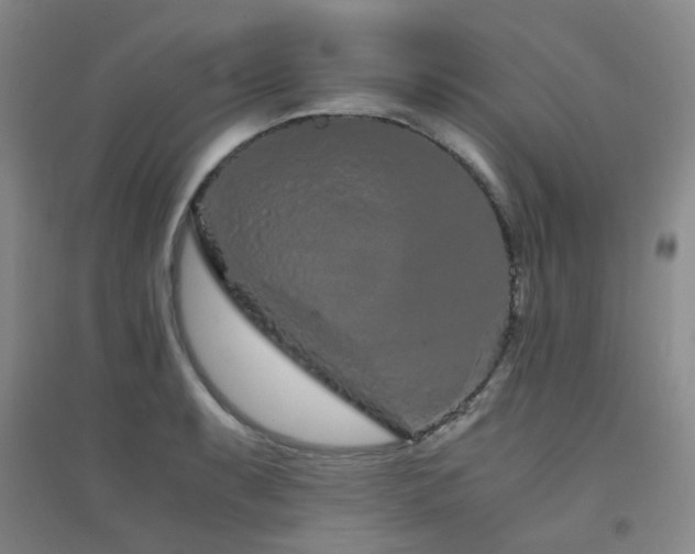 X0000094431087200711081220