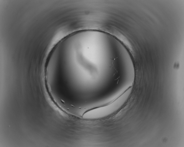 X0000094431088200711081220