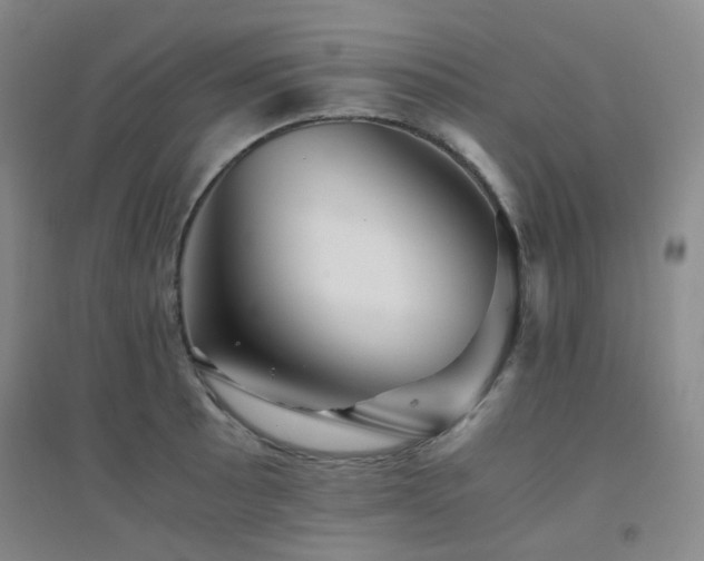 X0000094431089200711081220