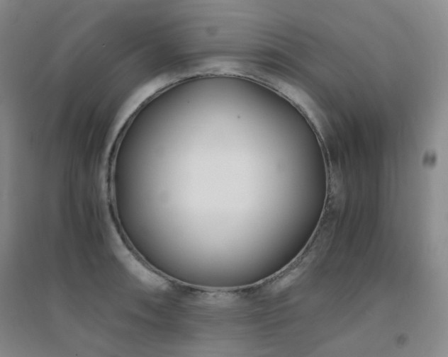 X0000094431090200711081220