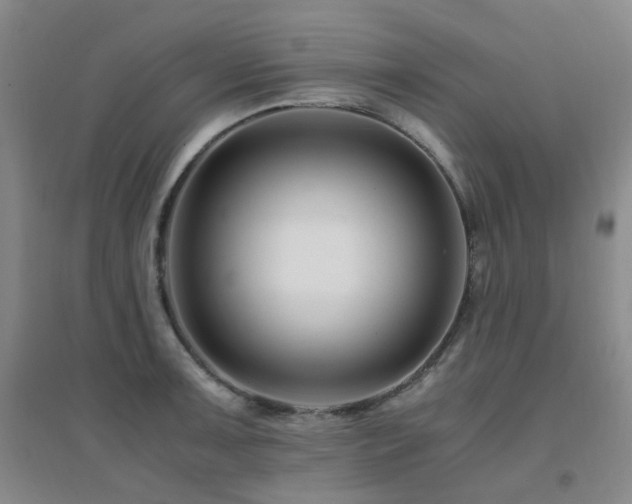 X0000094431091200711081220