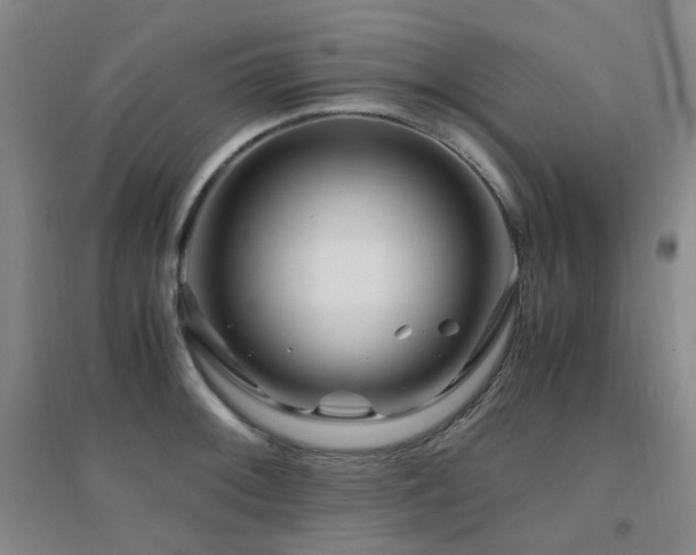 X0000094431092200711081220