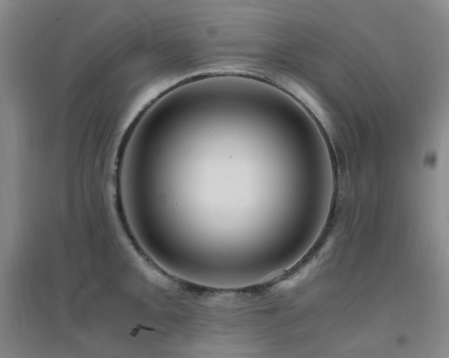 X0000094431093200711081220