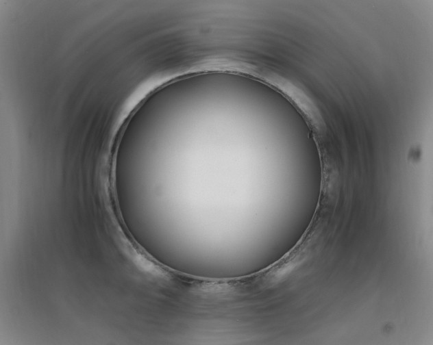 X0000094431094200711081220