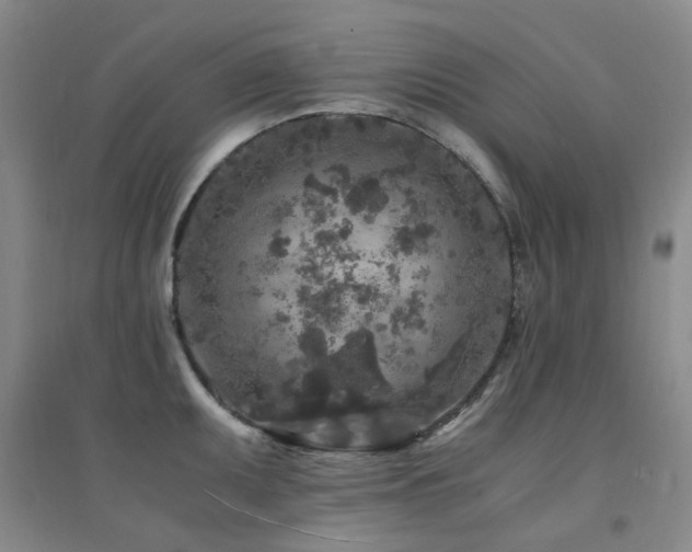 X0000094431095200711081220