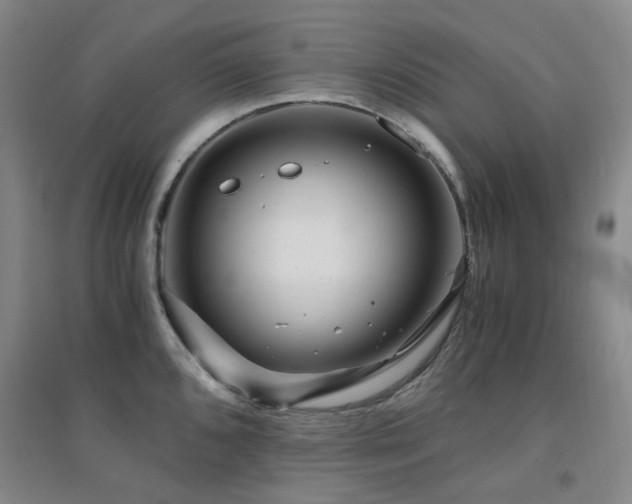X0000094431096200711081220