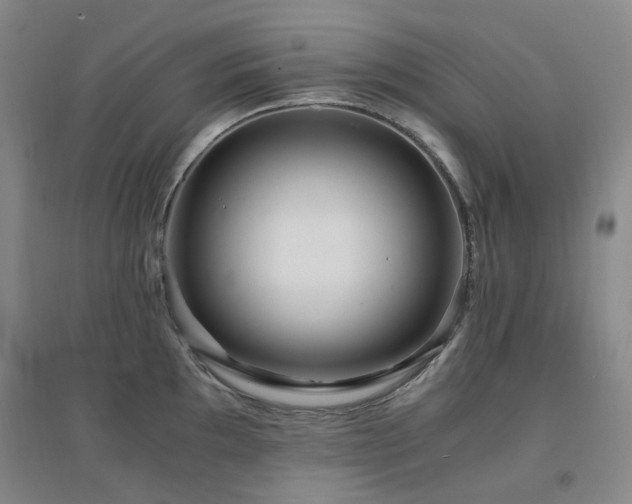 X0000094431097200711081220
