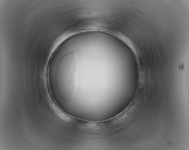 X0000094431098200711081220