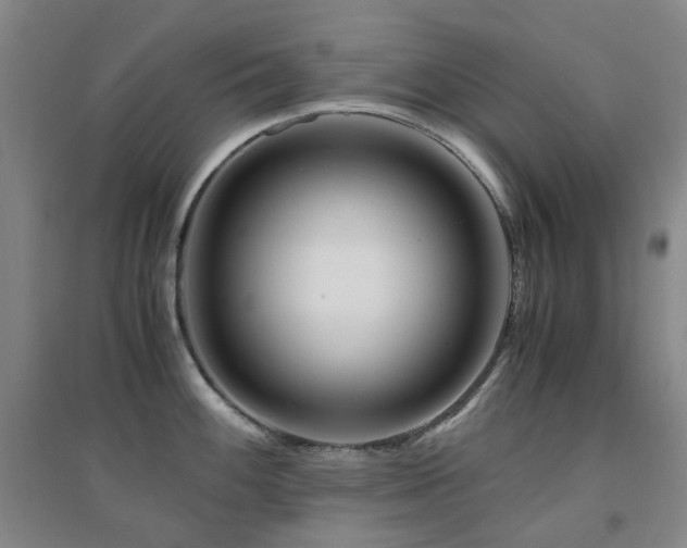 X0000094431100200711081220