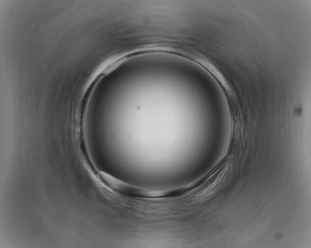 X0000094431101200711081220