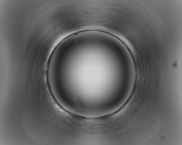 X0000094431102200711081220