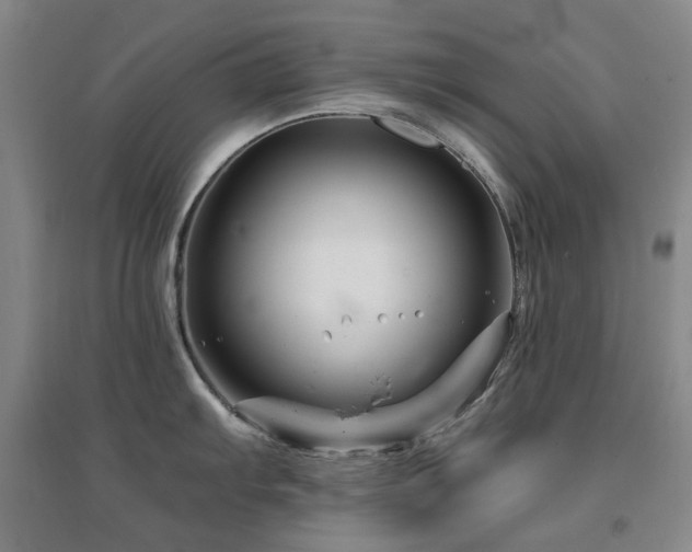 X0000094431103200711081220