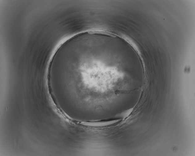 X0000094431104200711081220