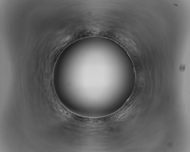 X0000094431105200711081219