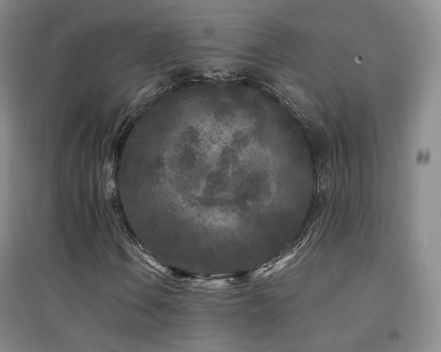 X0000094431106200711081219