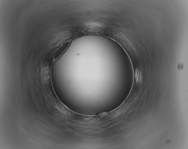 X0000094431107200711081219