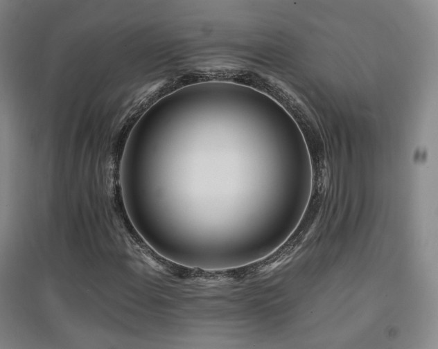 X0000094431108200711081219