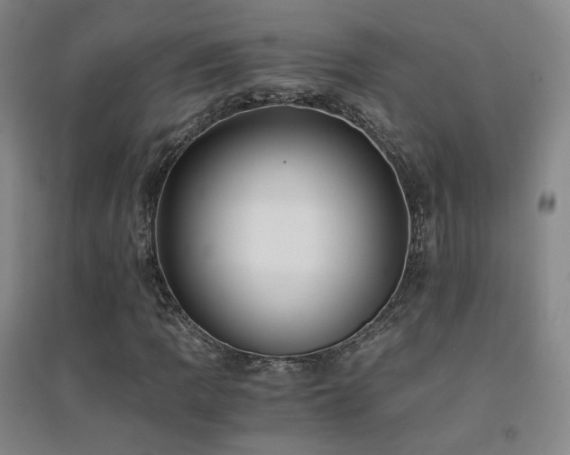 X0000094431109200711081219