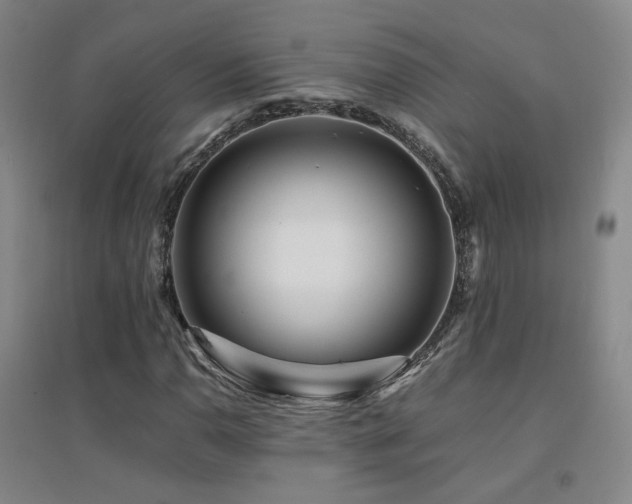X0000094431110200711081219