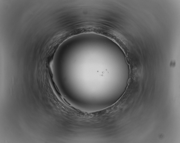 X0000094431111200711081219