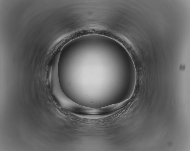 X0000094431112200711081219
