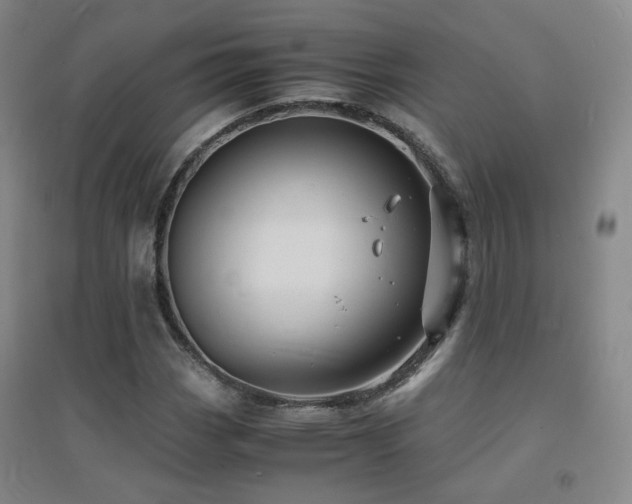 X0000094431113200711081219