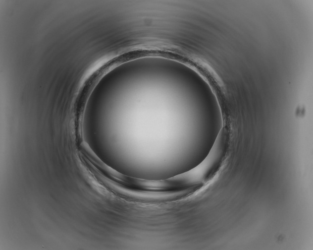 X0000094431114200711081219