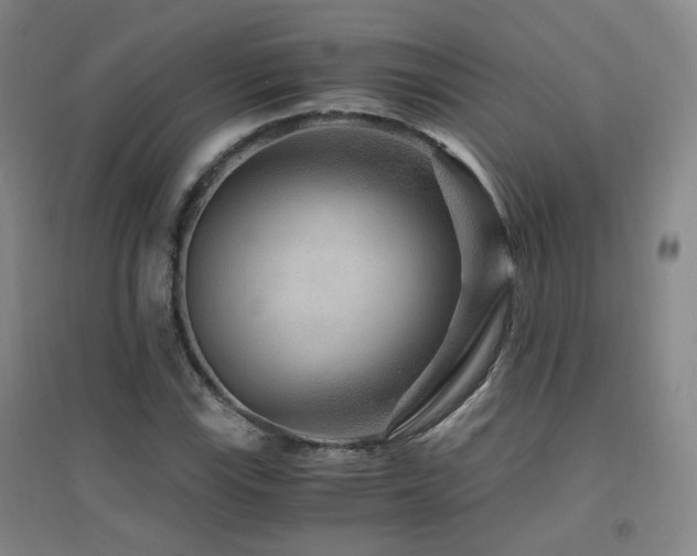 X0000094431115200711081219