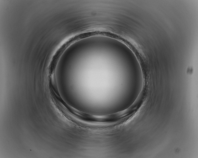 X0000094431118200711081219